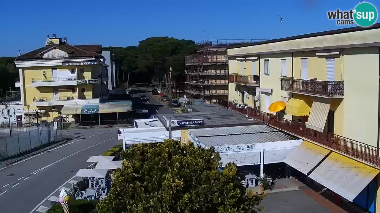 Livecam Rosolina mare