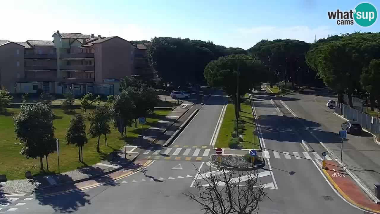 Livecam Rosolina mare