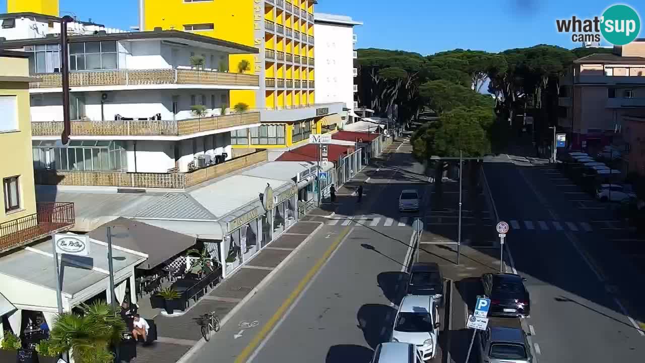 Camera en vivo Rosolina mare