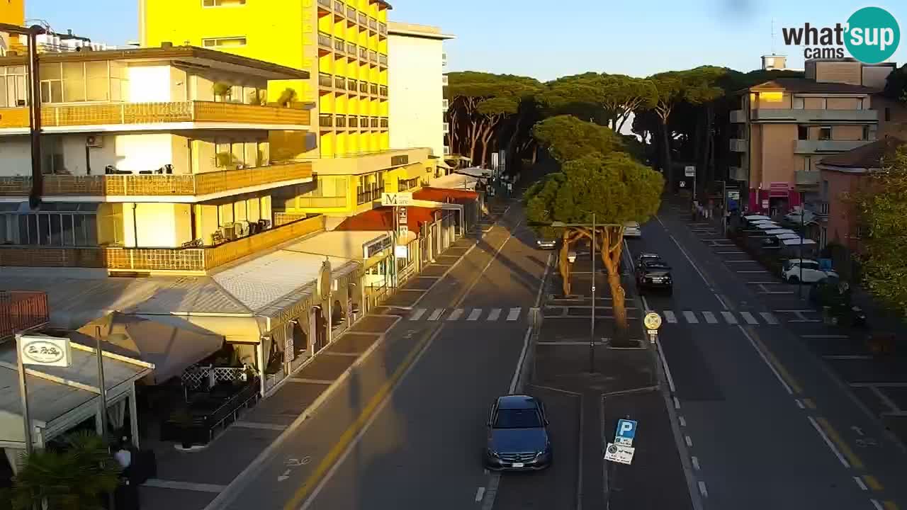 Livecam Rosolina mare