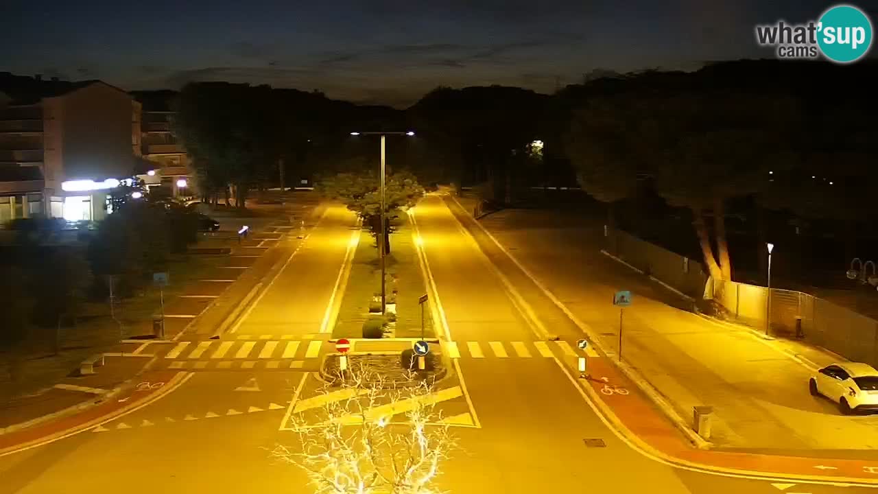 Livecam Rosolina mare