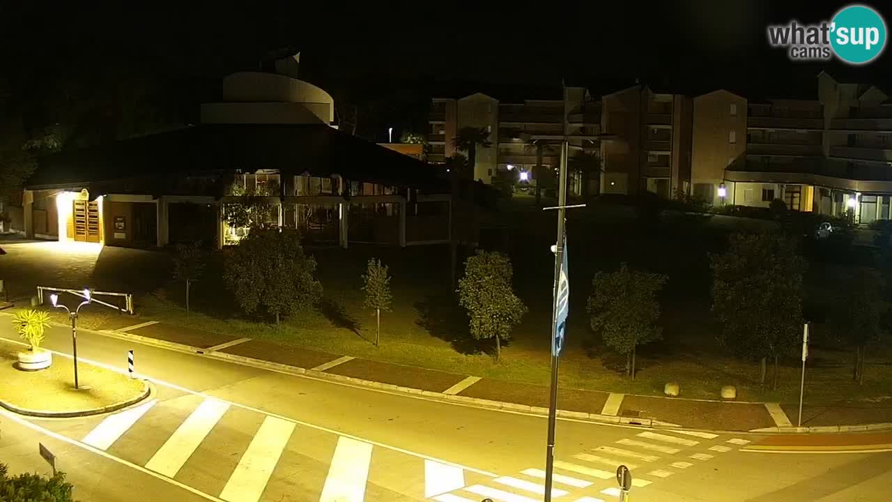 Camera en vivo Rosolina mare