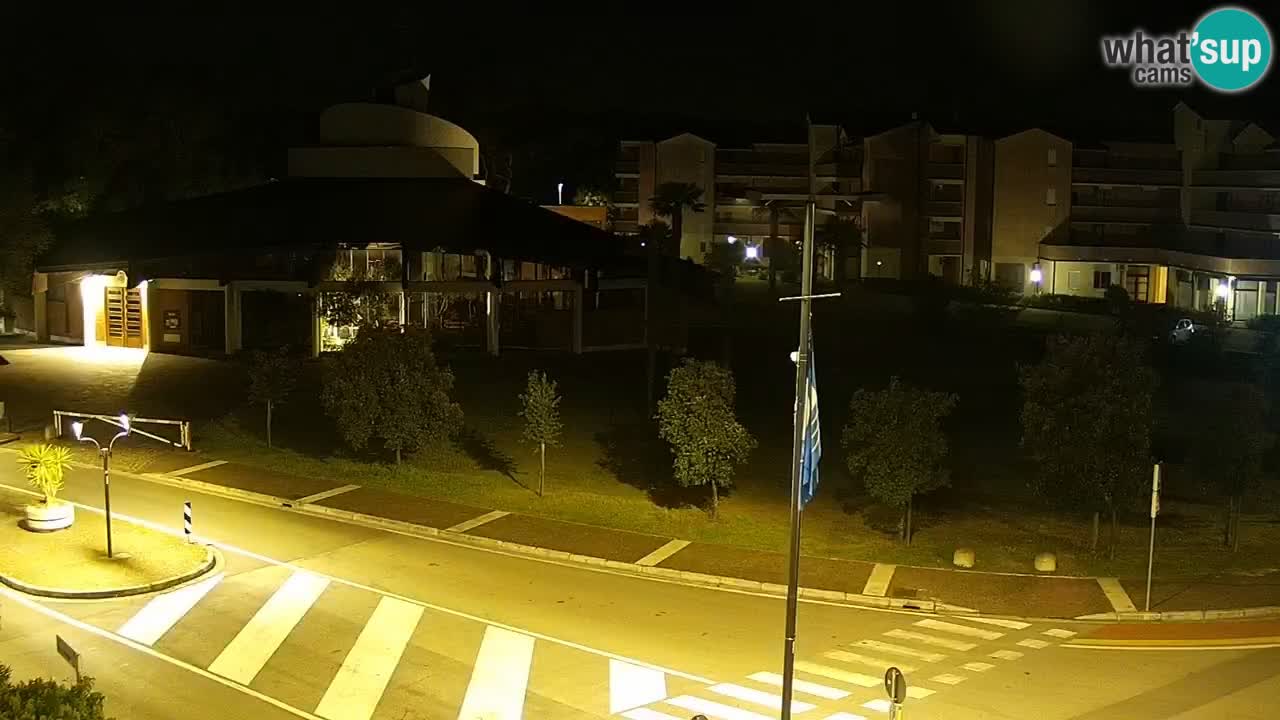 Camera en vivo Rosolina mare