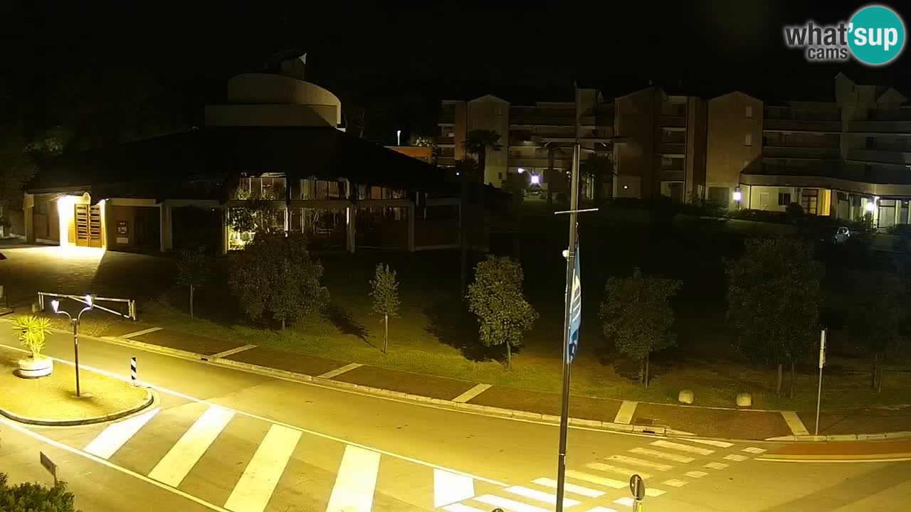 Camera en vivo Rosolina mare