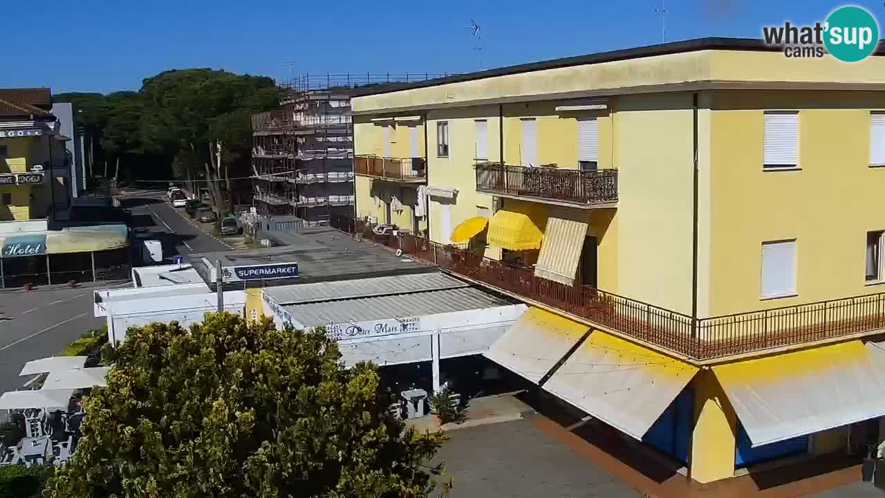 Livecam Rosolina mare