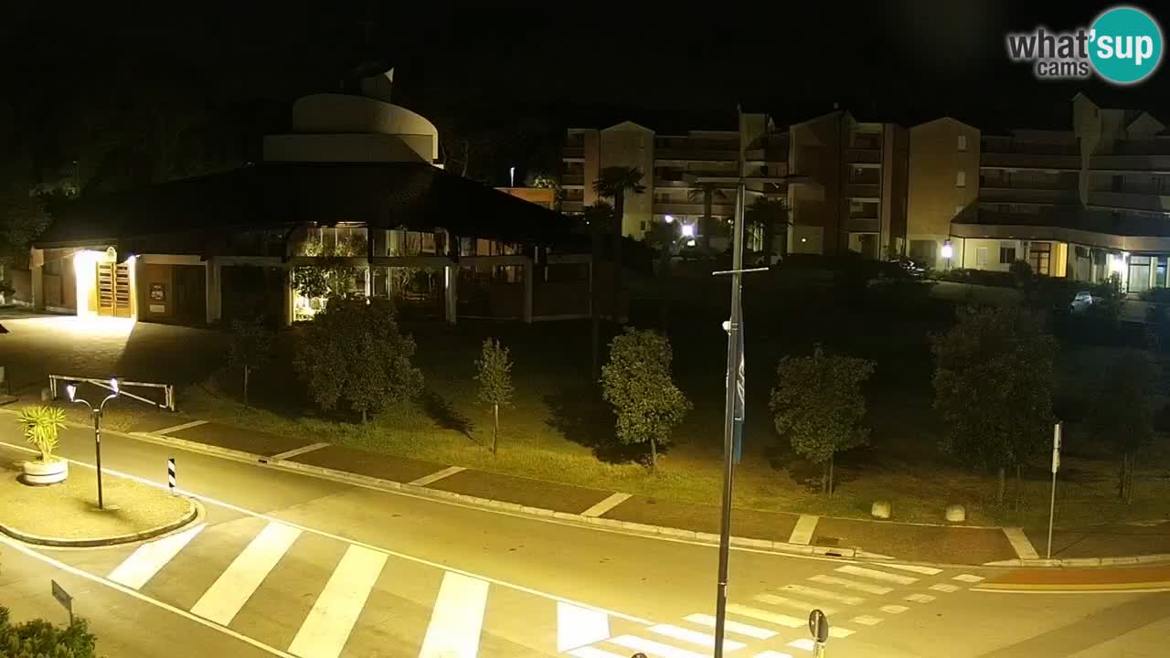 Camera en vivo Rosolina mare