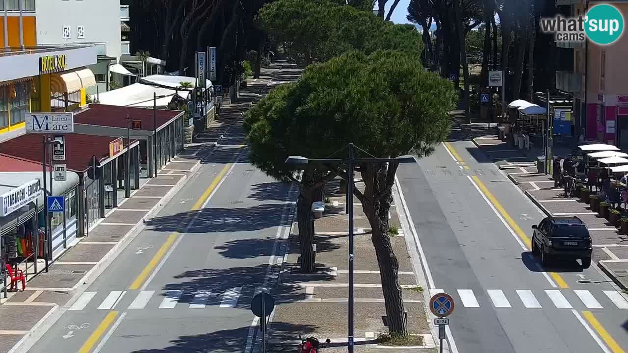 Livecam Rosolina mare