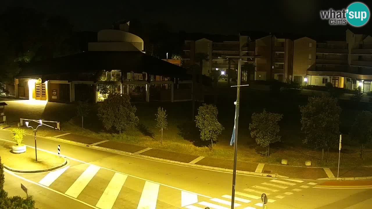 Camera en vivo Rosolina mare