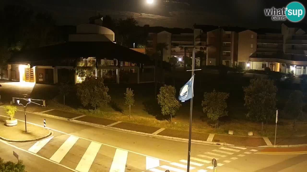 Camera en vivo Rosolina mare