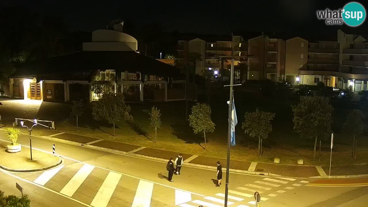 Livecam Rosolina mare