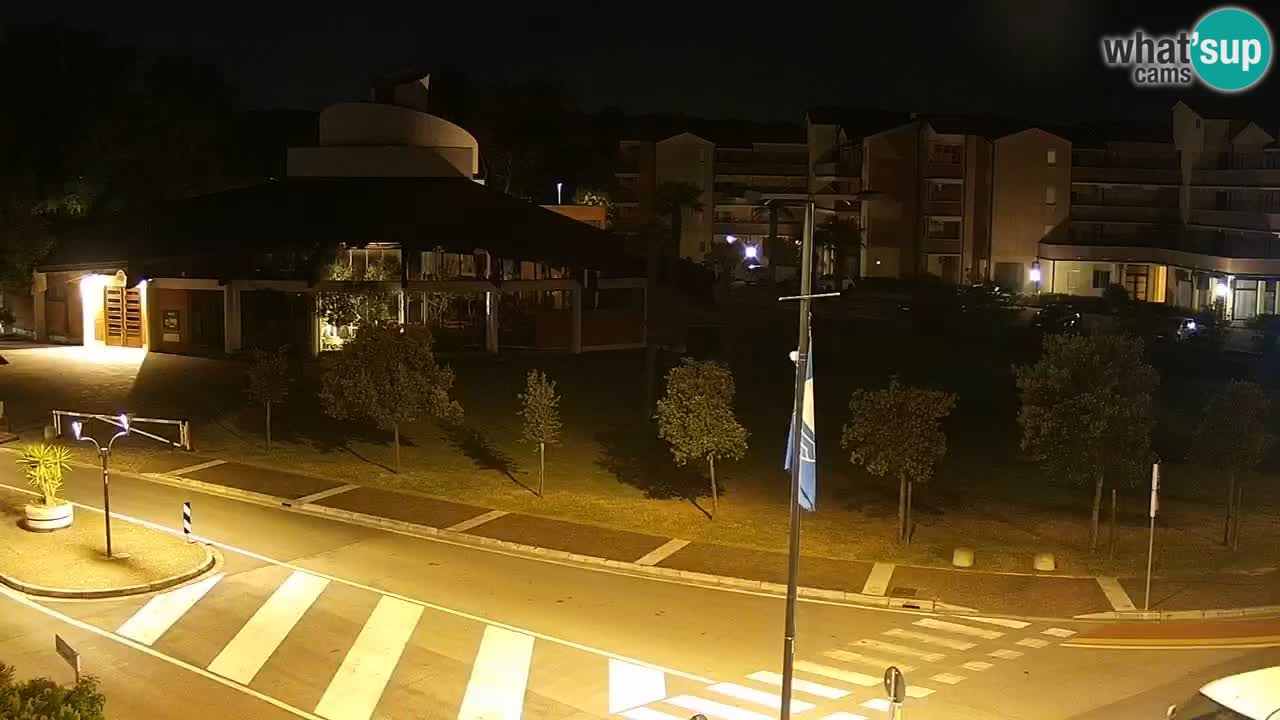 Camera en vivo Rosolina mare