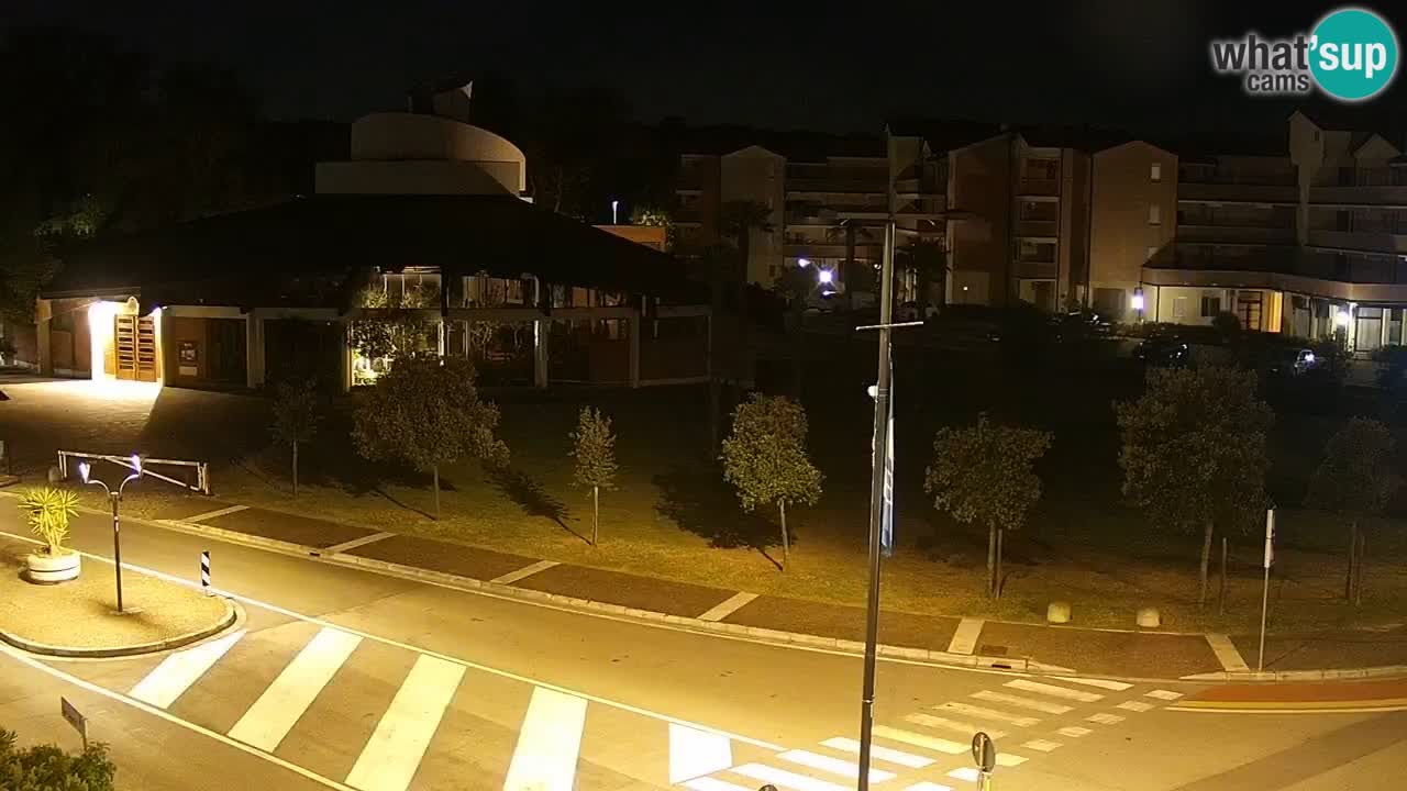 Livecam Rosolina mare