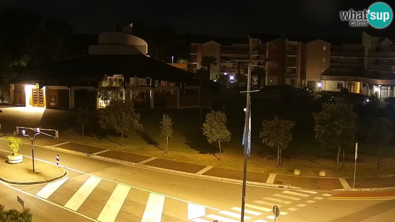 Livecam Rosolina mare