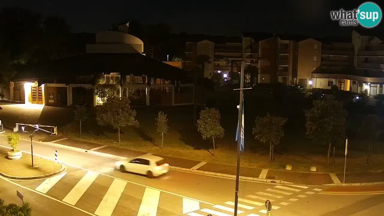 Camera en vivo Rosolina mare