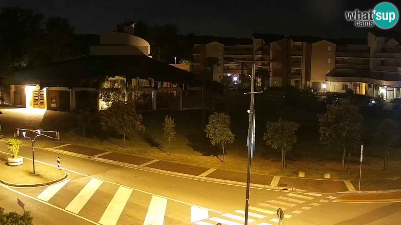 Livecam Rosolina mare