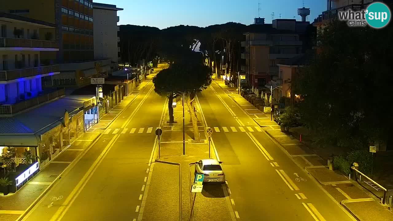 Camera en vivo Rosolina mare