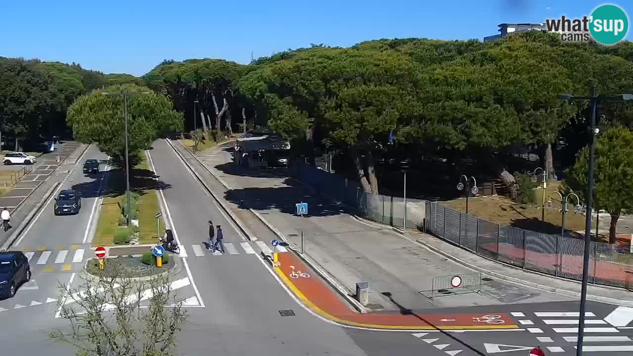 Camera en vivo Rosolina mare