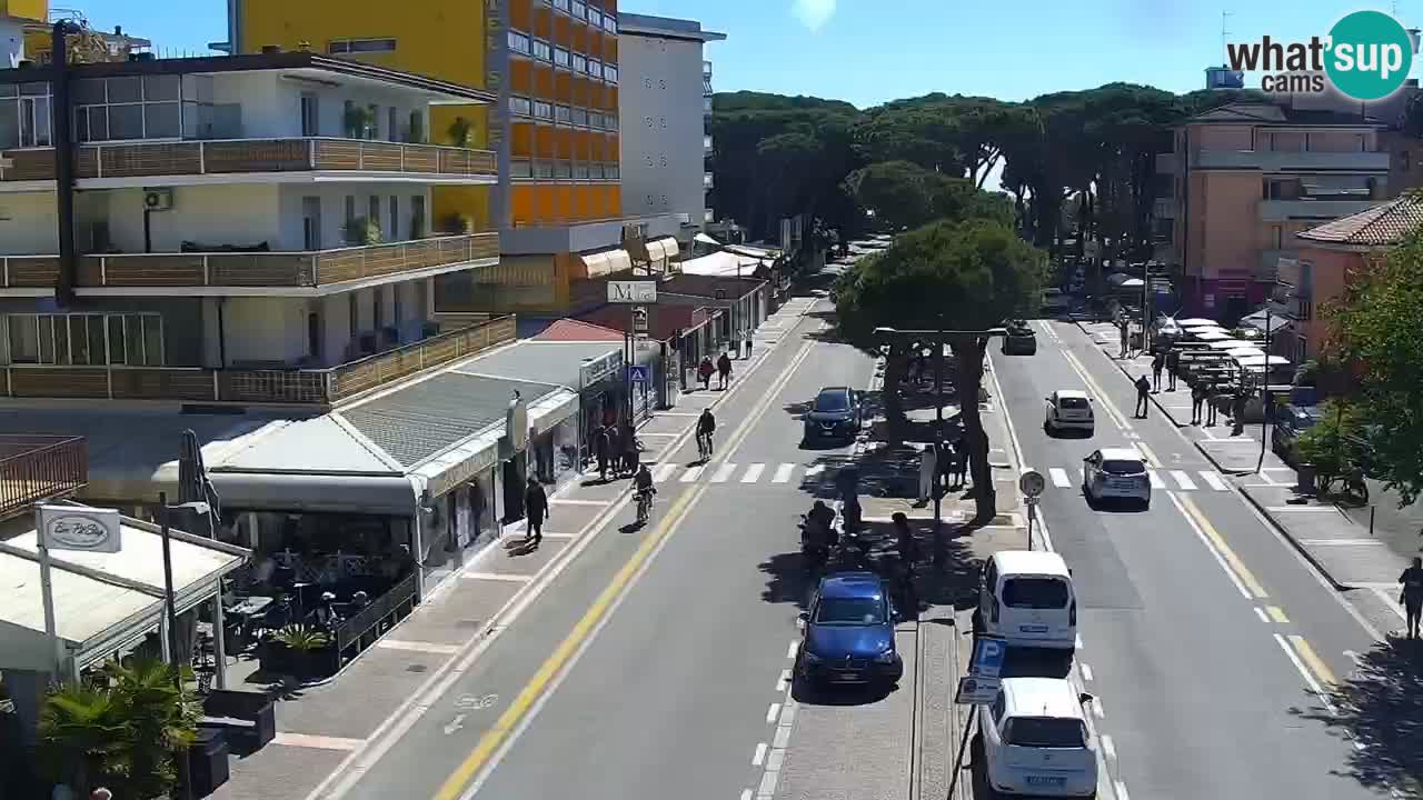 Livecam Rosolina mare