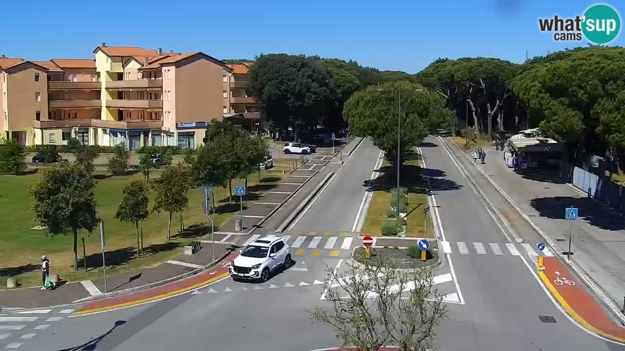 Livecam Rosolina mare