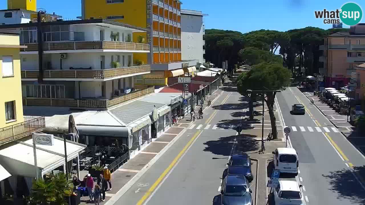 Camera en vivo Rosolina mare