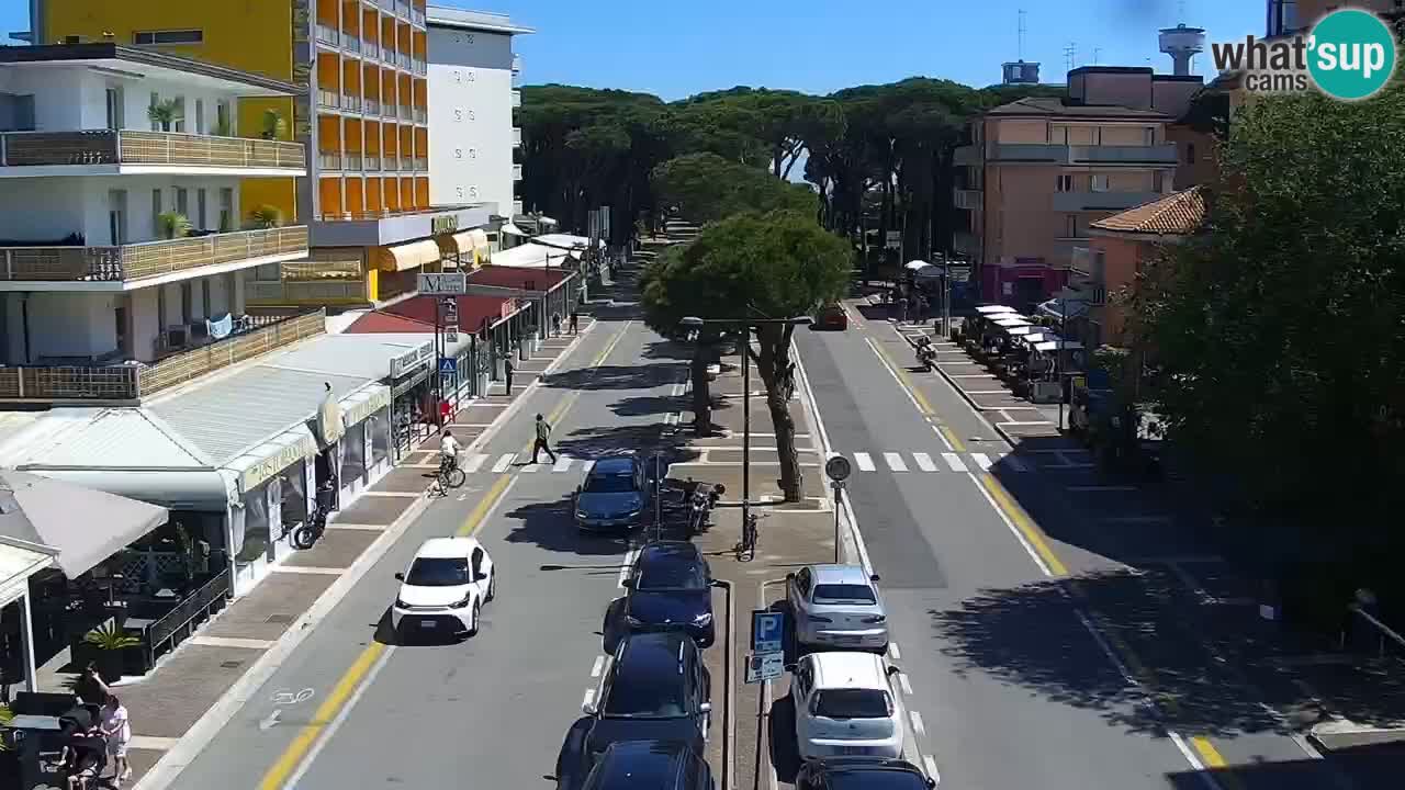 Camera en vivo Rosolina mare