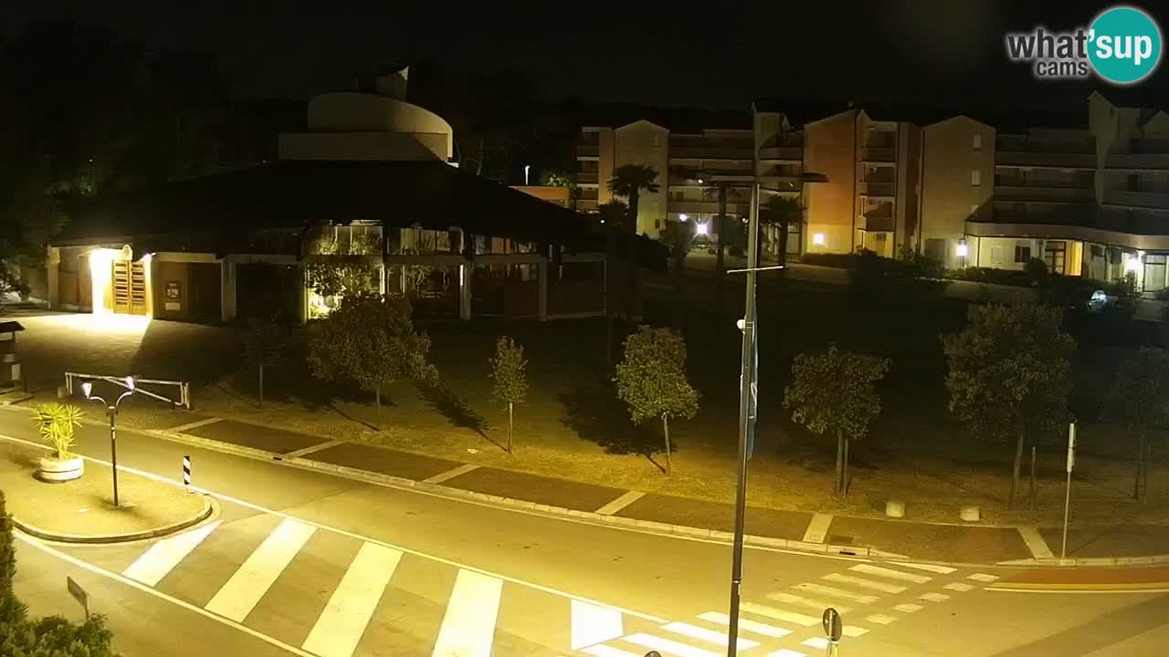 Camera en vivo Rosolina mare