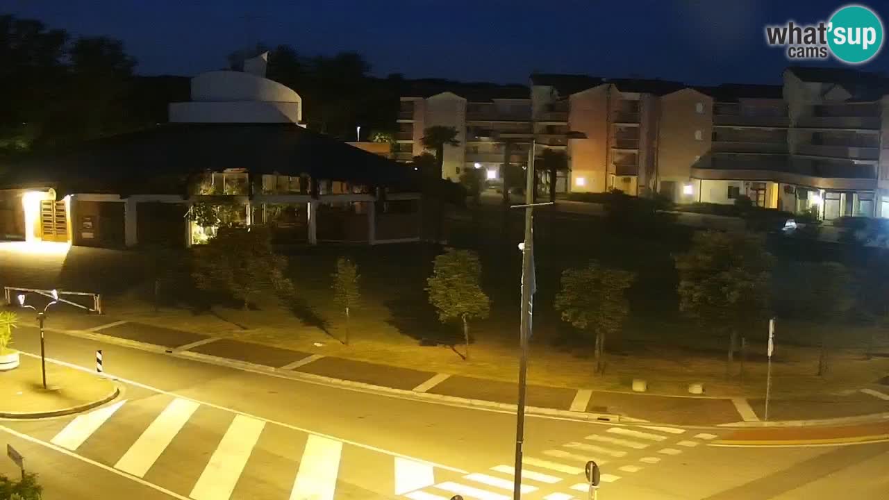 Livecam Rosolina mare