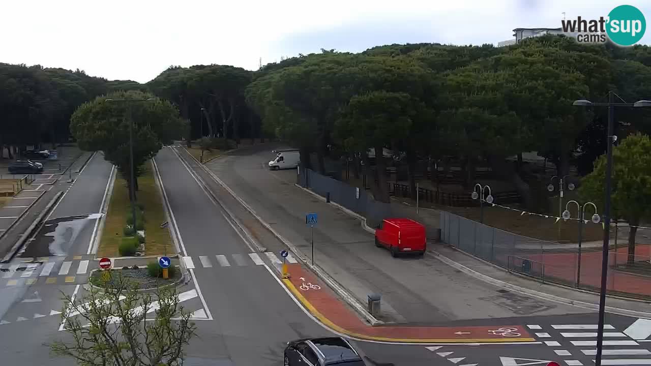 Livecam Rosolina mare