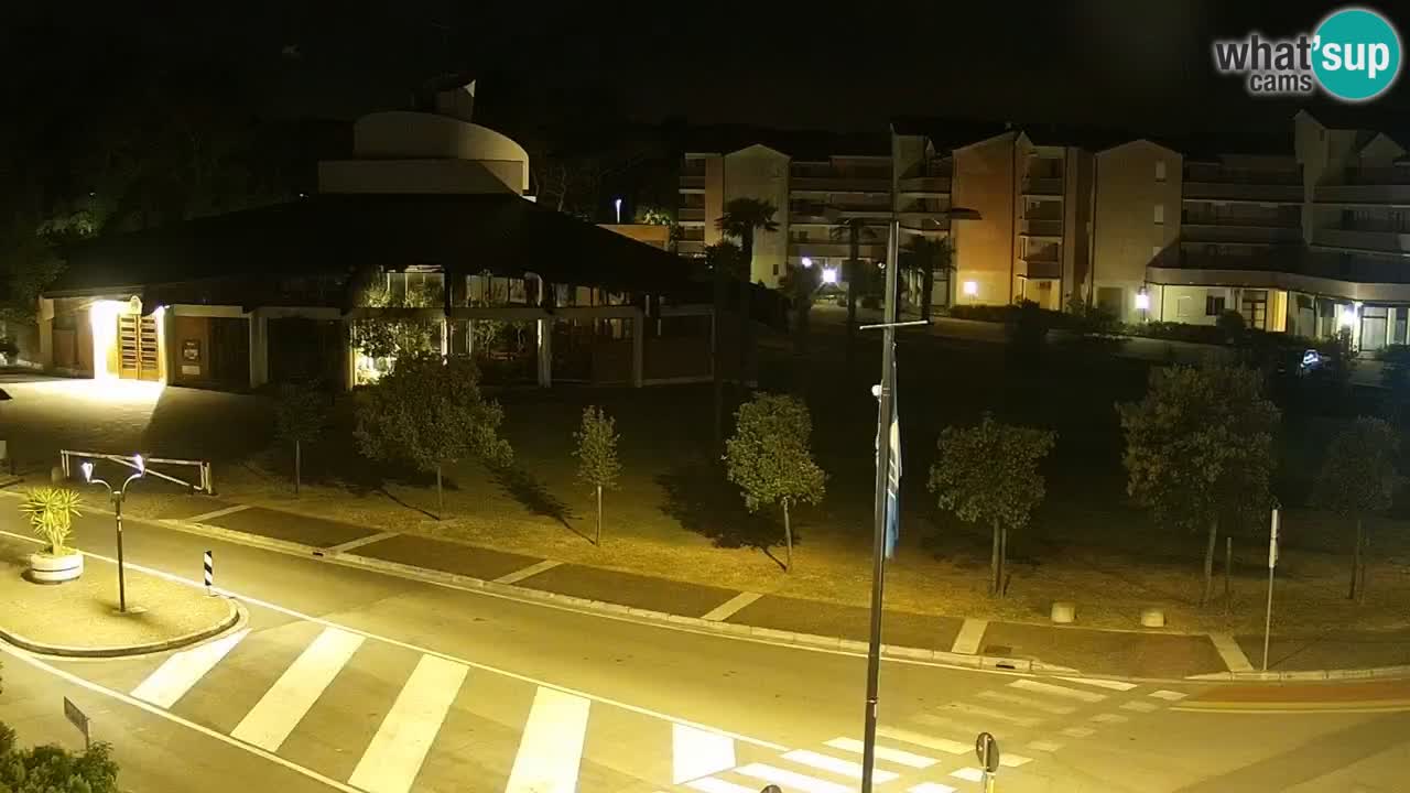 Livecam Rosolina mare