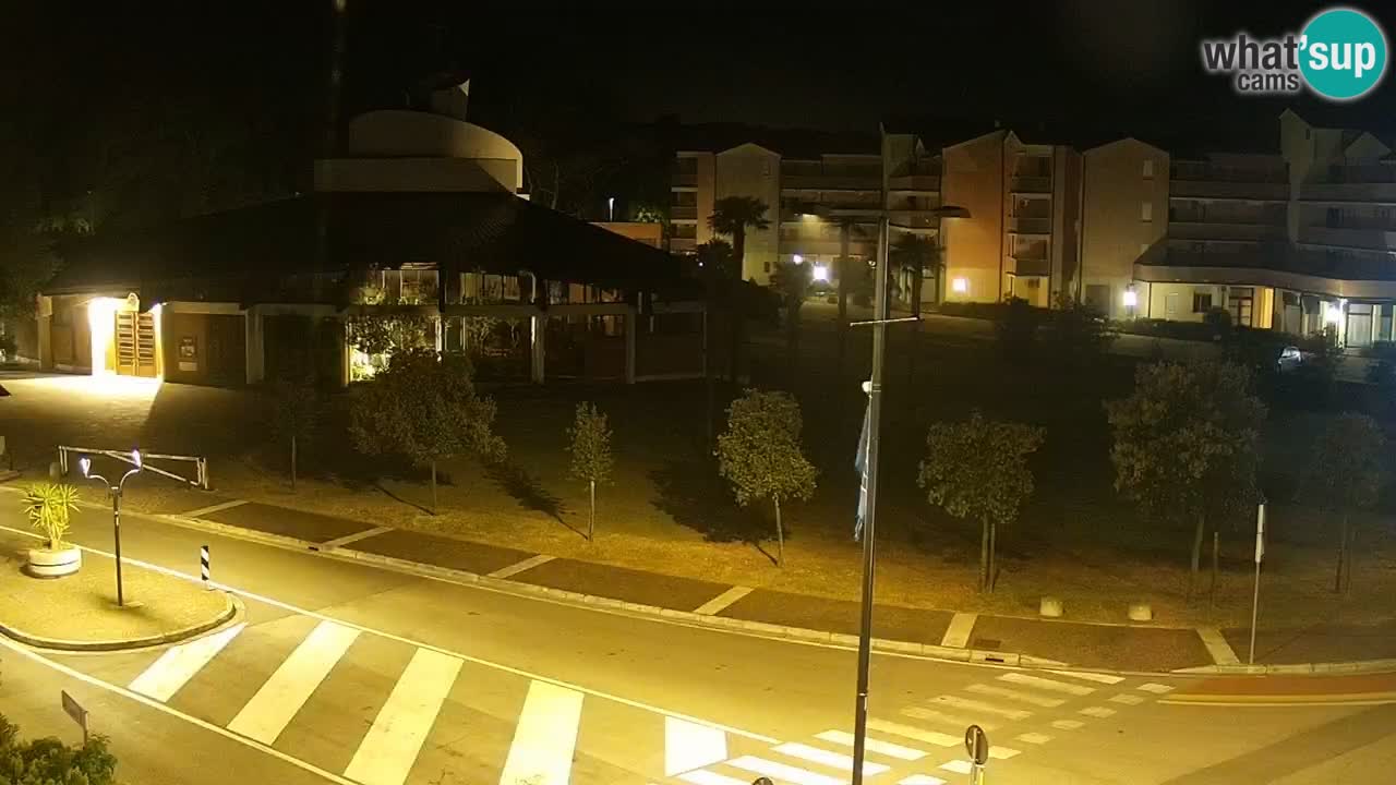 Camera en vivo Rosolina mare