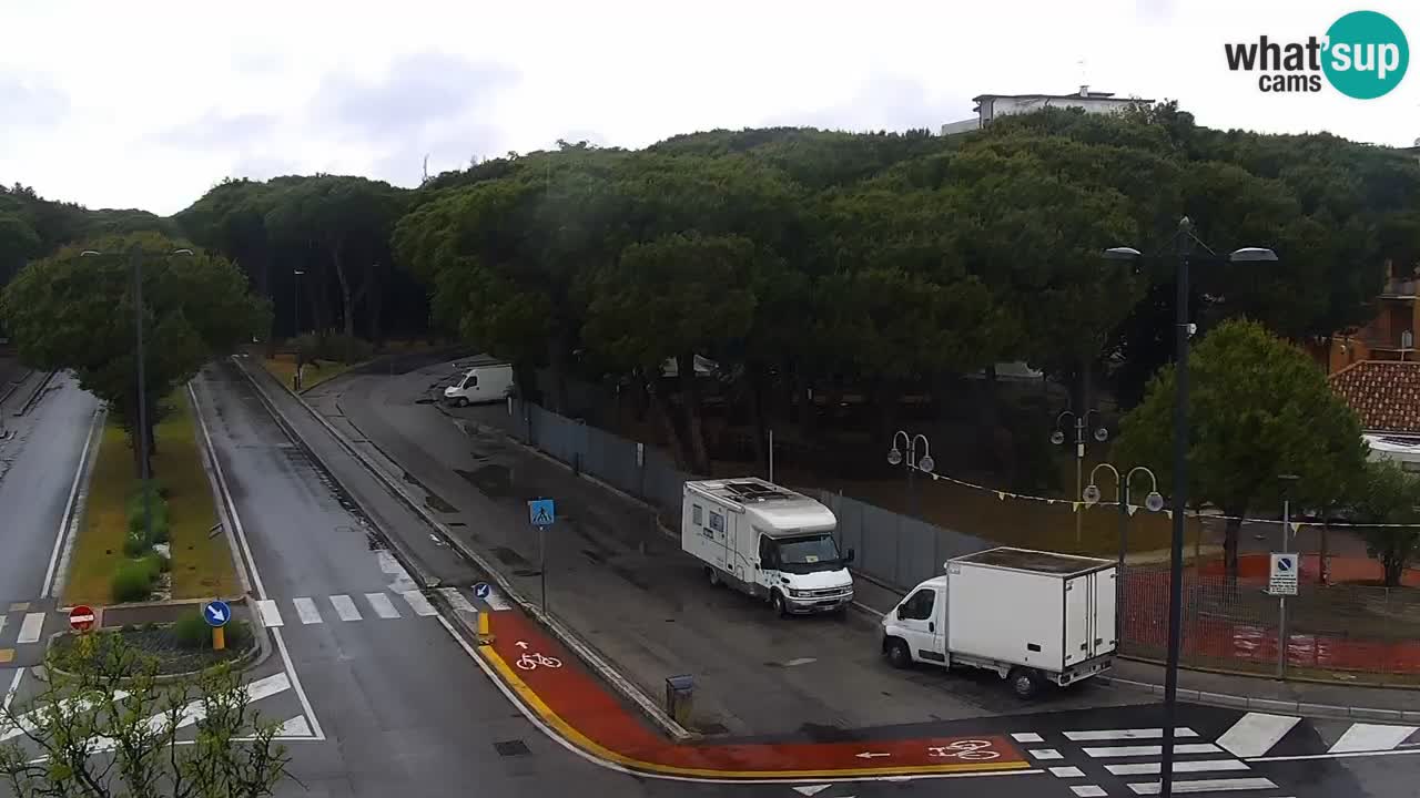 Camera en vivo Rosolina mare