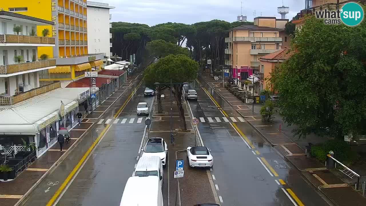 Livecam Rosolina mare
