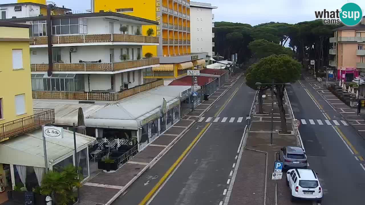 Livecam Rosolina mare