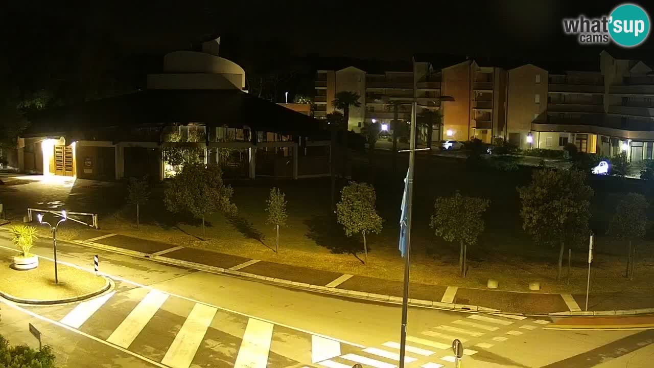 Camera en vivo Rosolina mare