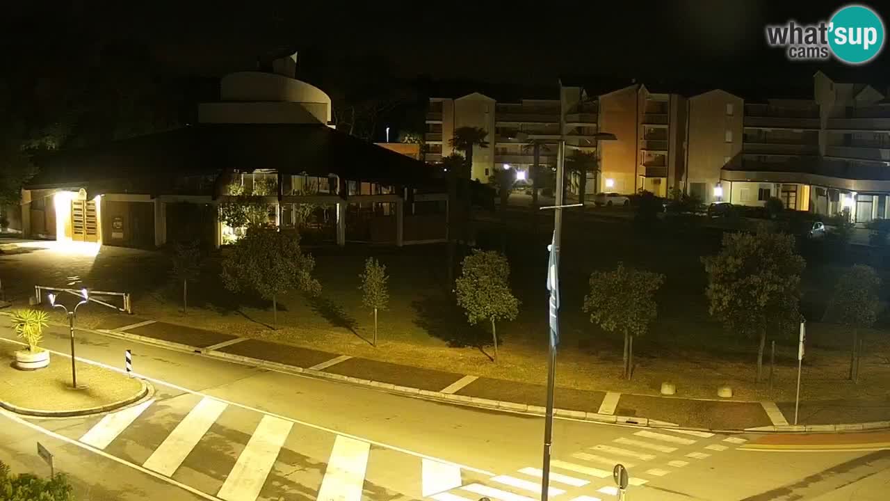 Camera en vivo Rosolina mare