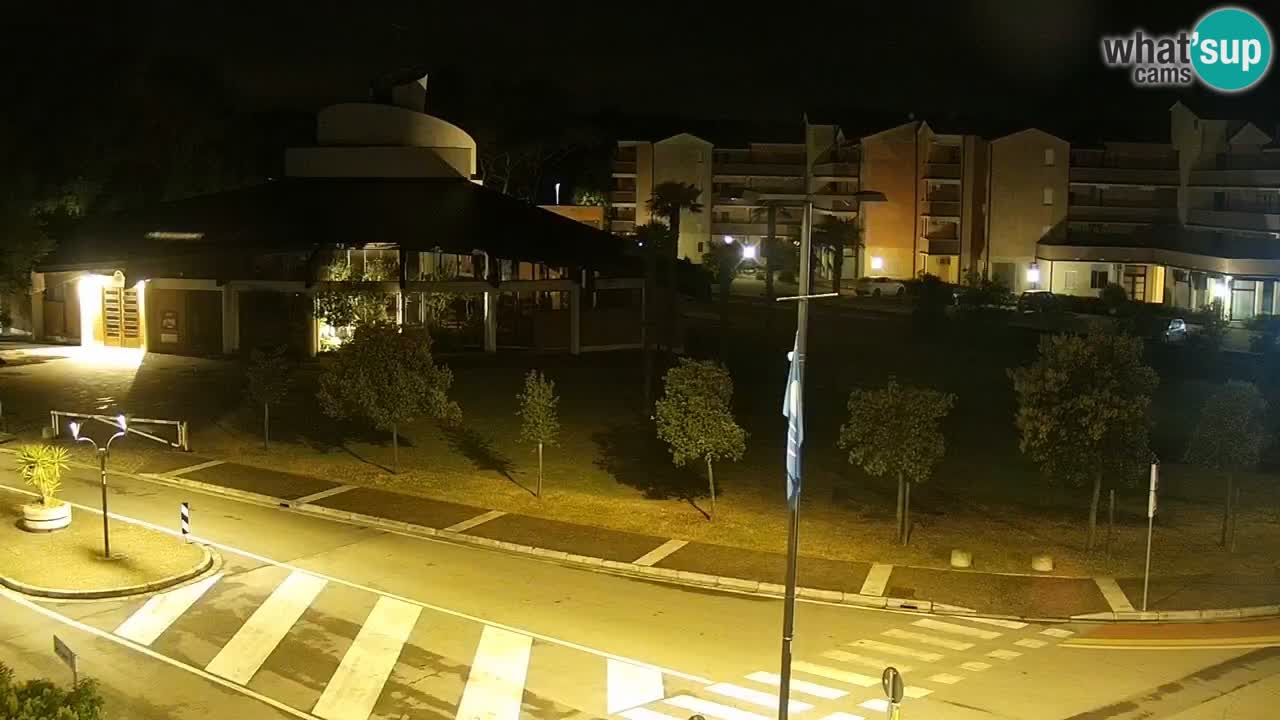 Camera en vivo Rosolina mare
