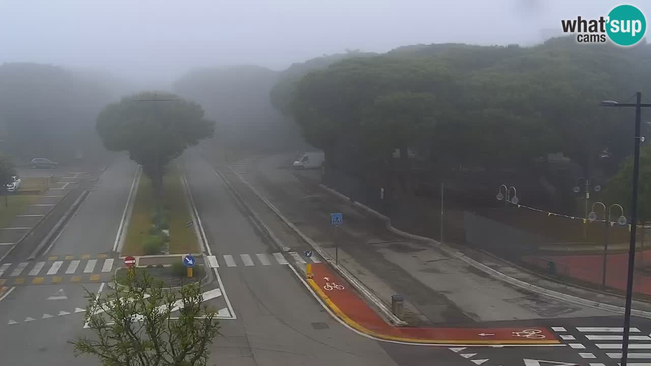 Livecam Rosolina mare