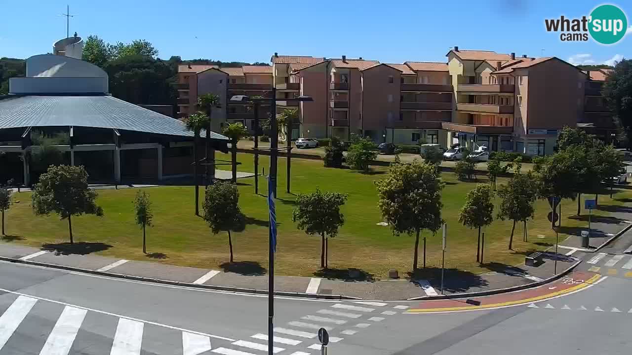 Livecam Rosolina mare