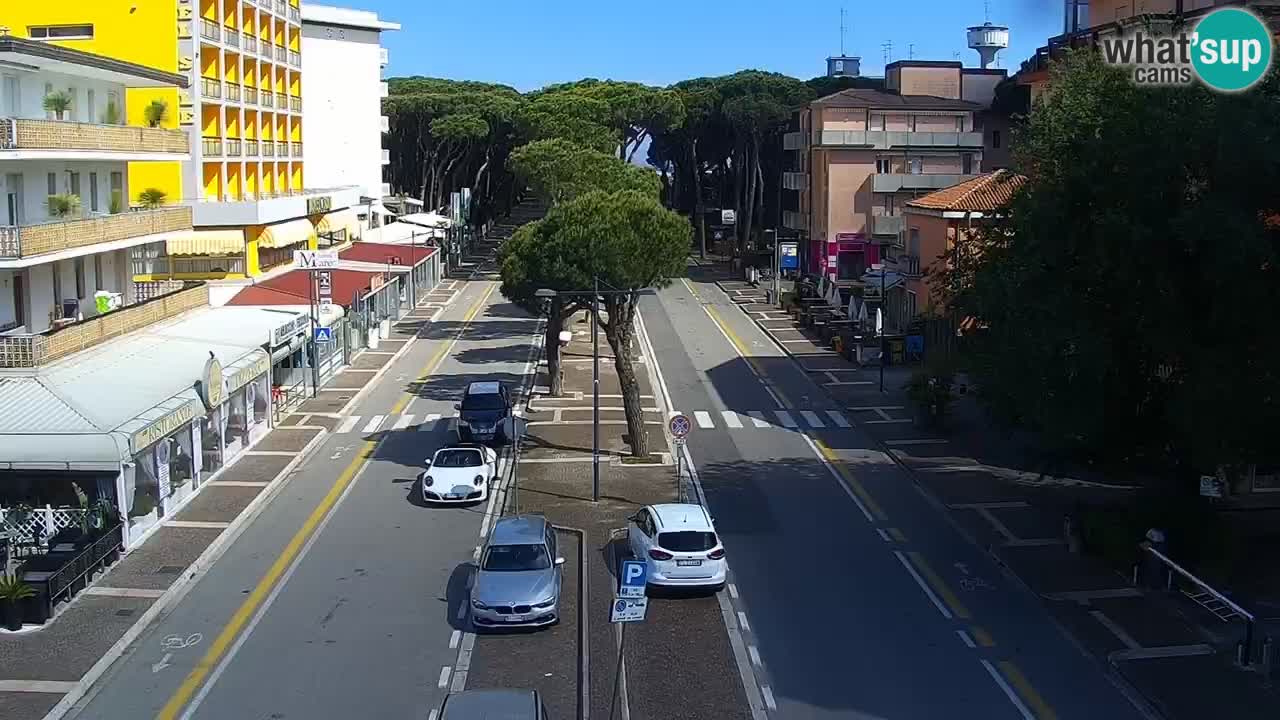 Camera en vivo Rosolina mare