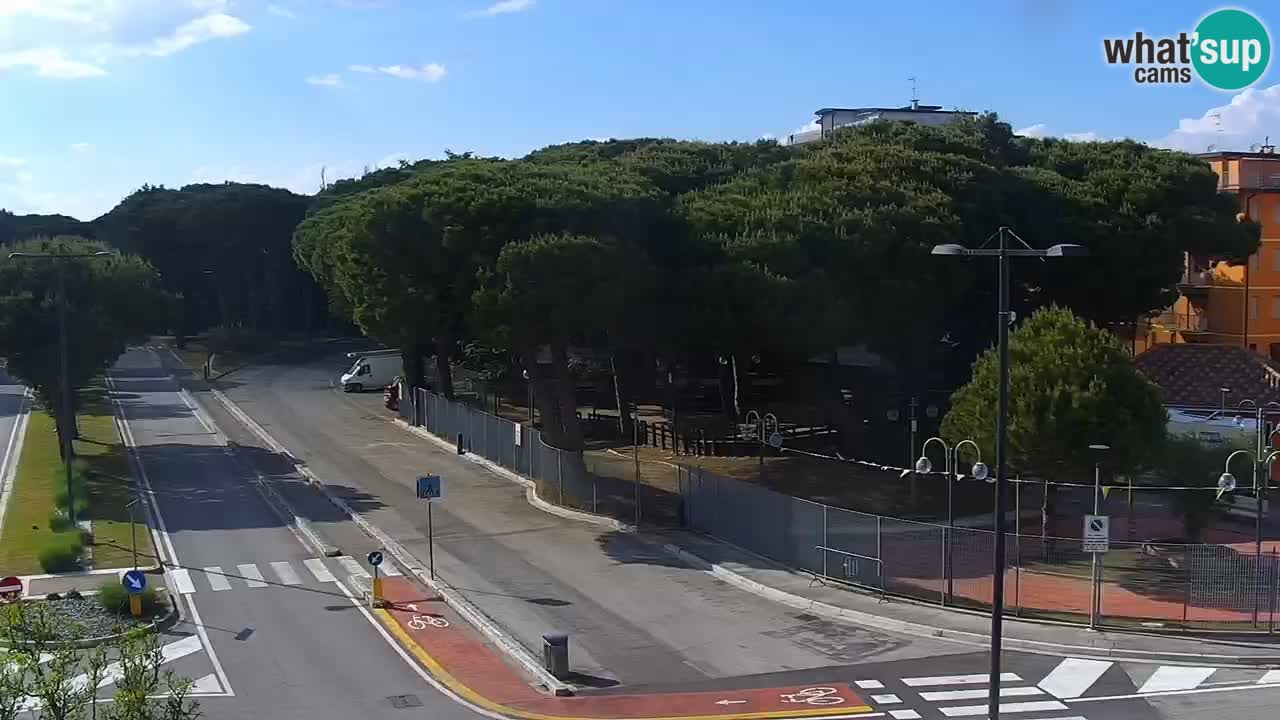 Camera en vivo Rosolina mare