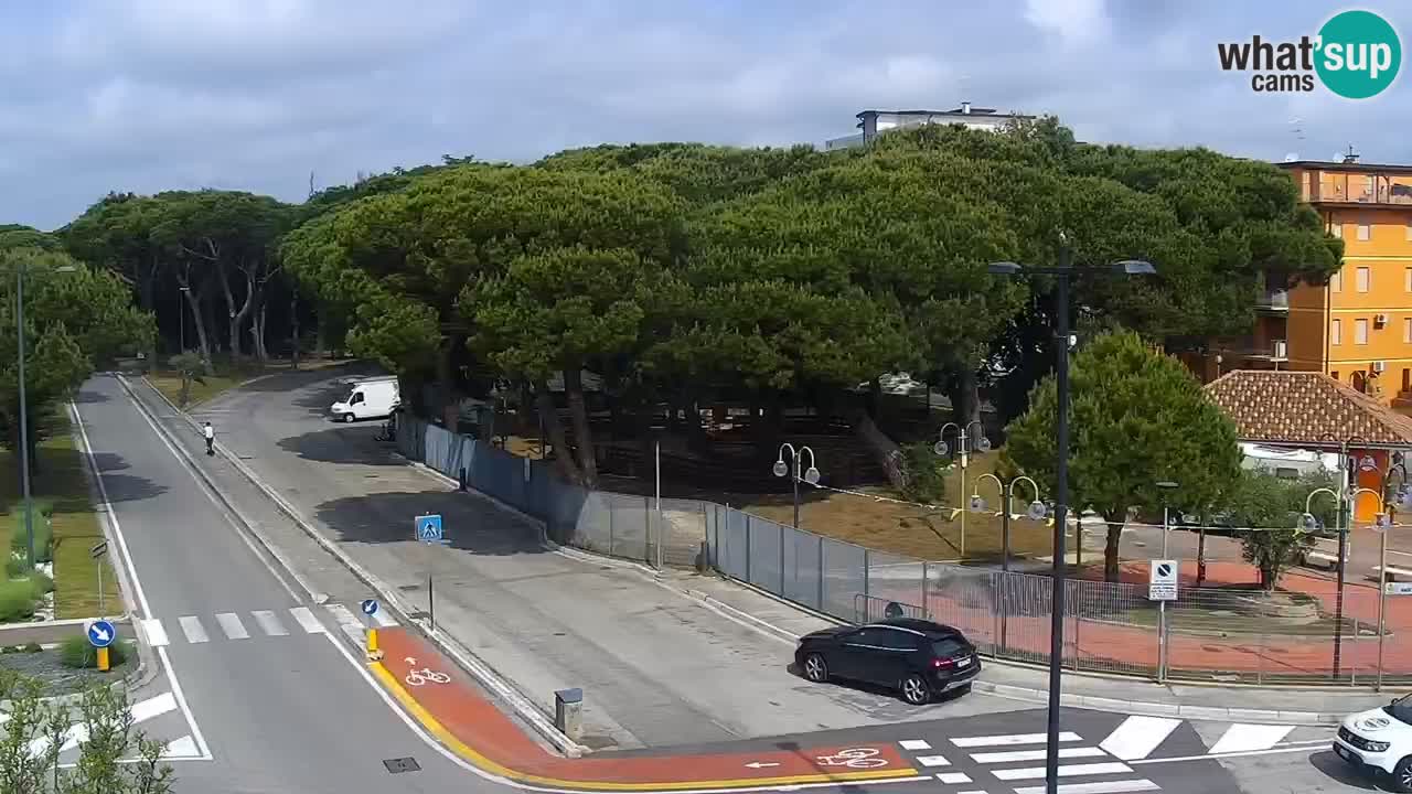 Camera en vivo Rosolina mare