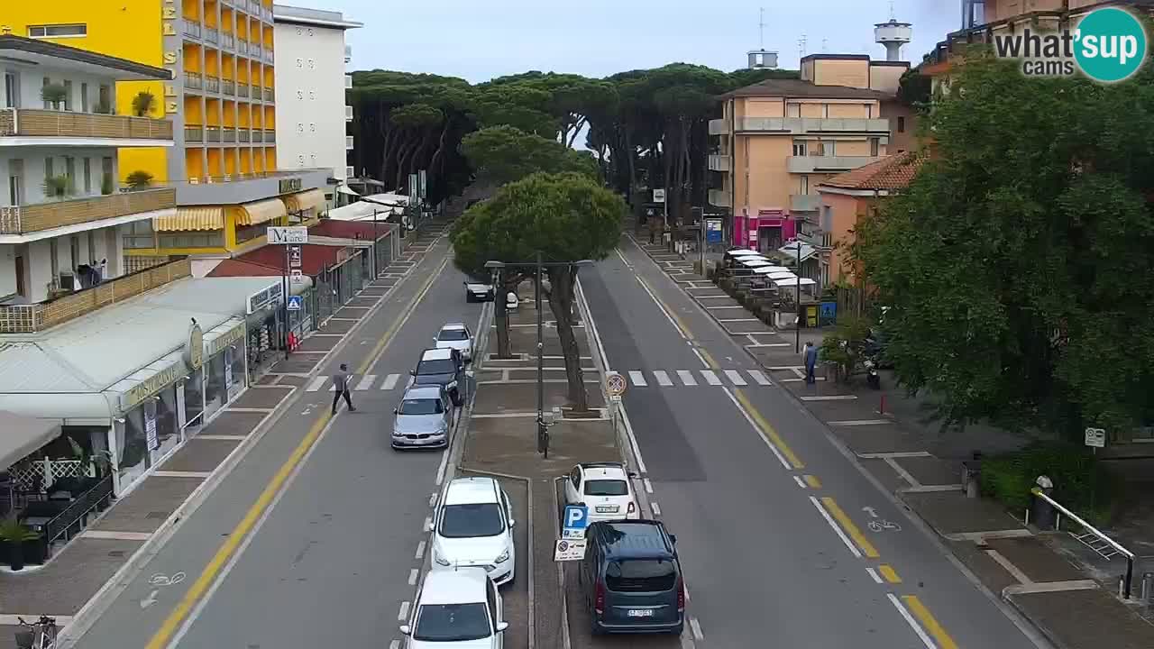Livecam Rosolina mare