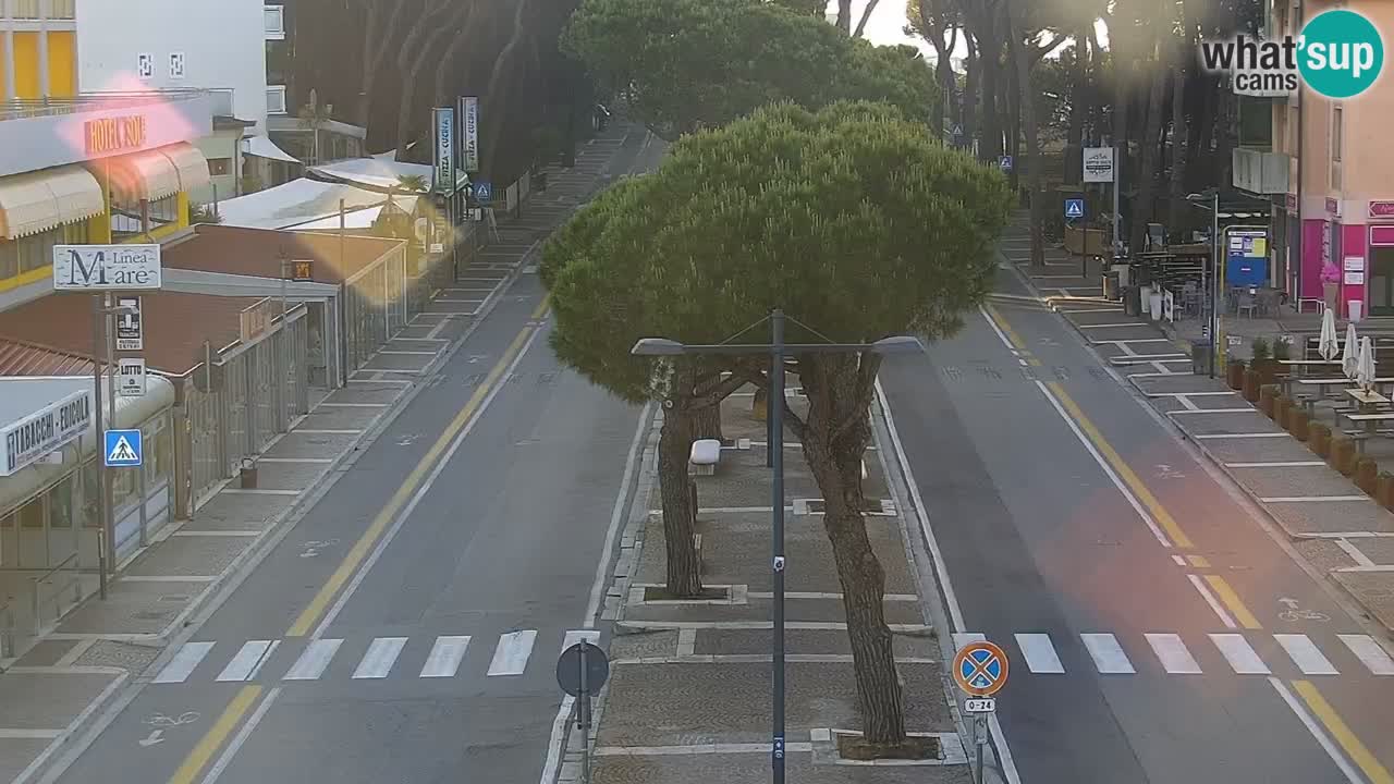 Livecam Rosolina mare
