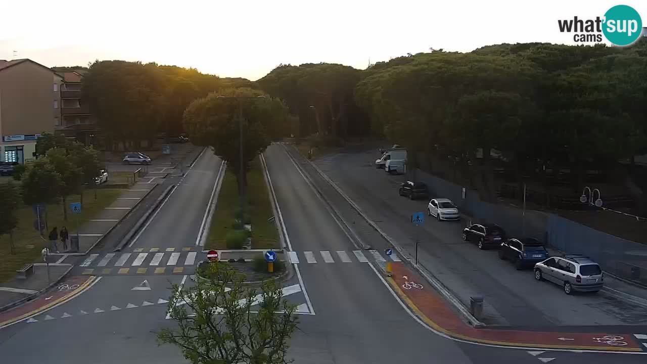 Livecam Rosolina mare