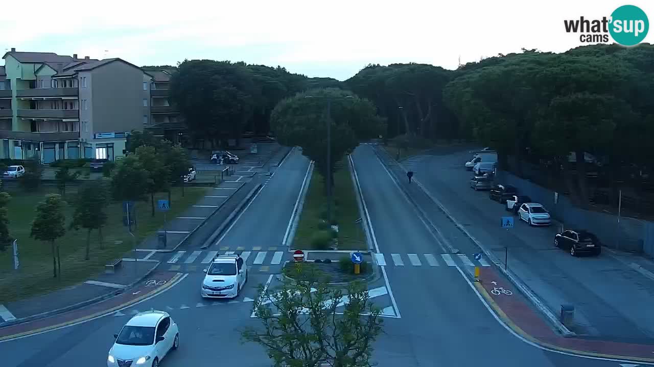 Livecam Rosolina mare