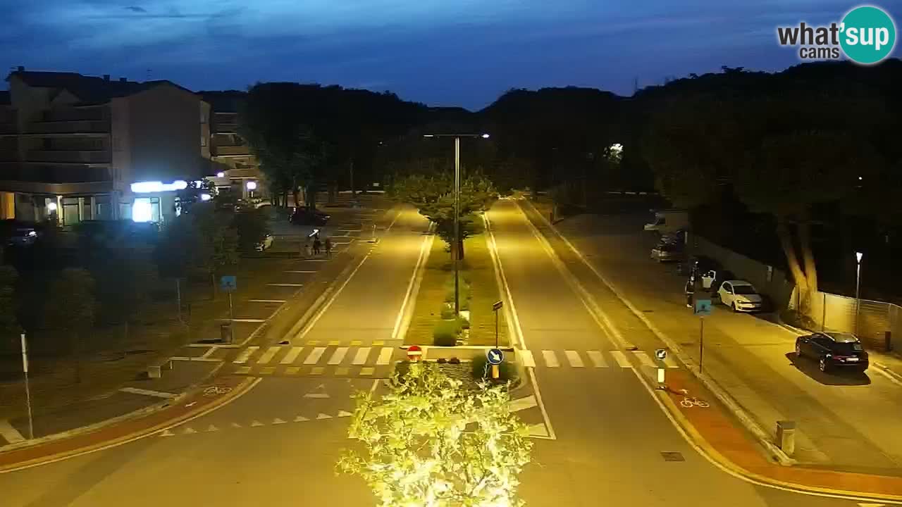 Livecam Rosolina mare