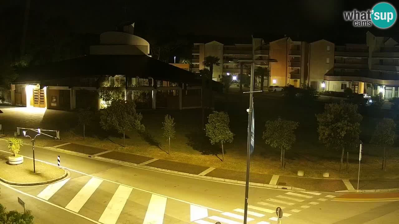 Livecam Rosolina mare