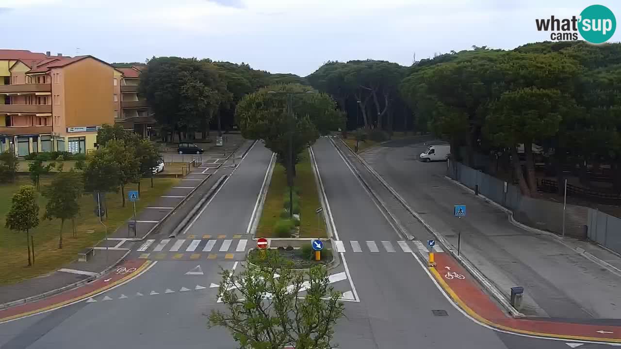 Livecam Rosolina mare