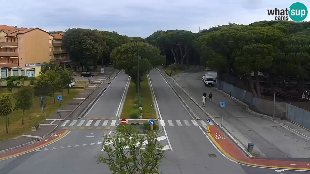 Livecam Rosolina mare