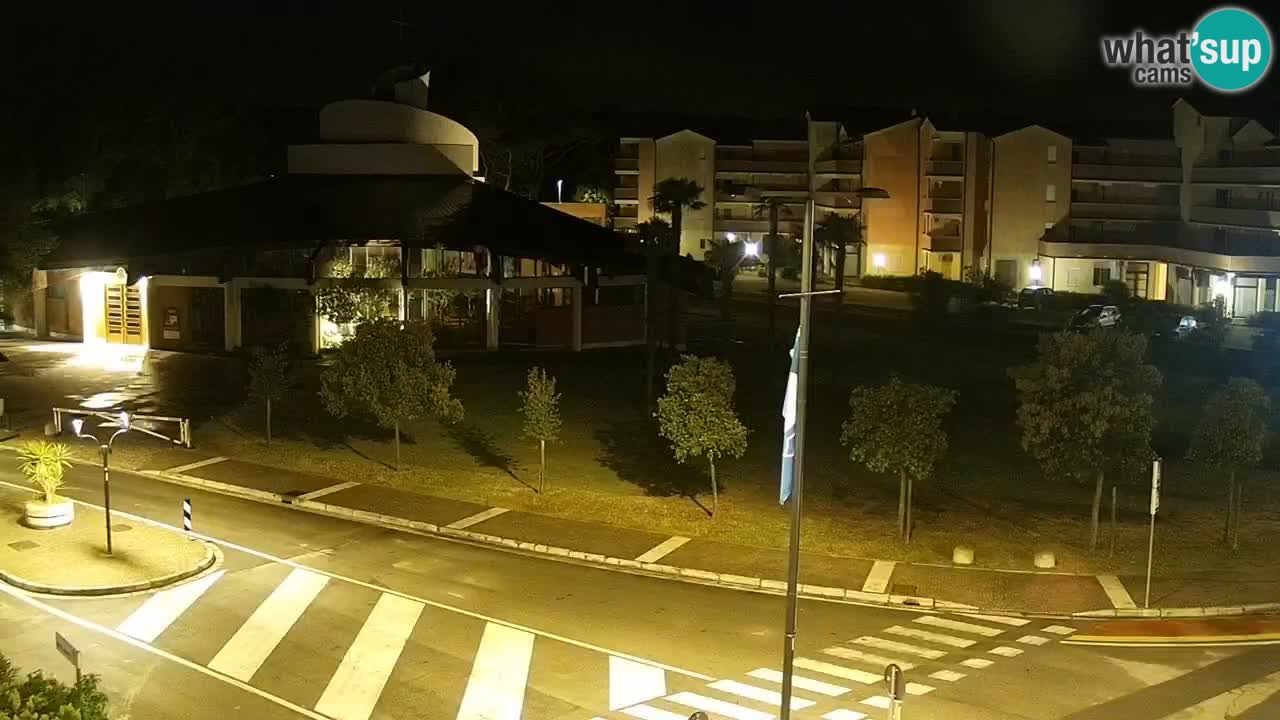 Camera en vivo Rosolina mare